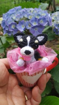 Tasse et miniature chihuahua en crochet
