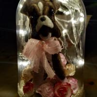 Cloche Boxer Led