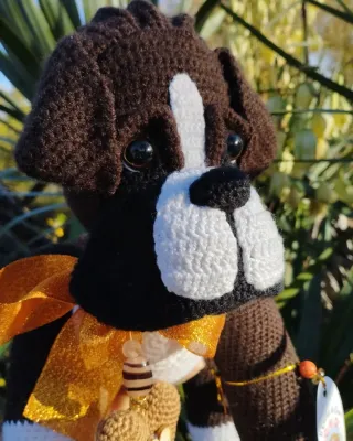 Buddy