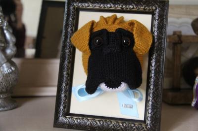 Portrait tête boxer en crochet