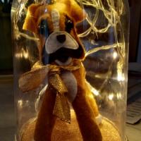 Cloche Boxer Led