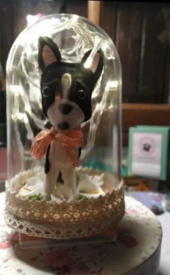 Cloche Boston Led