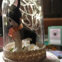 Cloche Boston Led