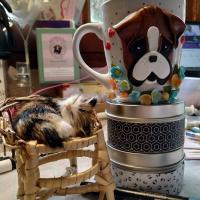 Tasse Boxer