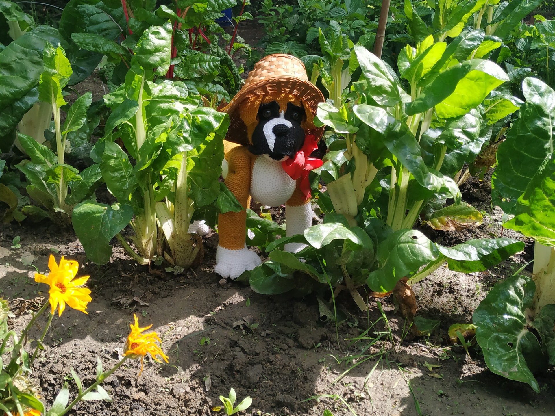BobDylan en potager