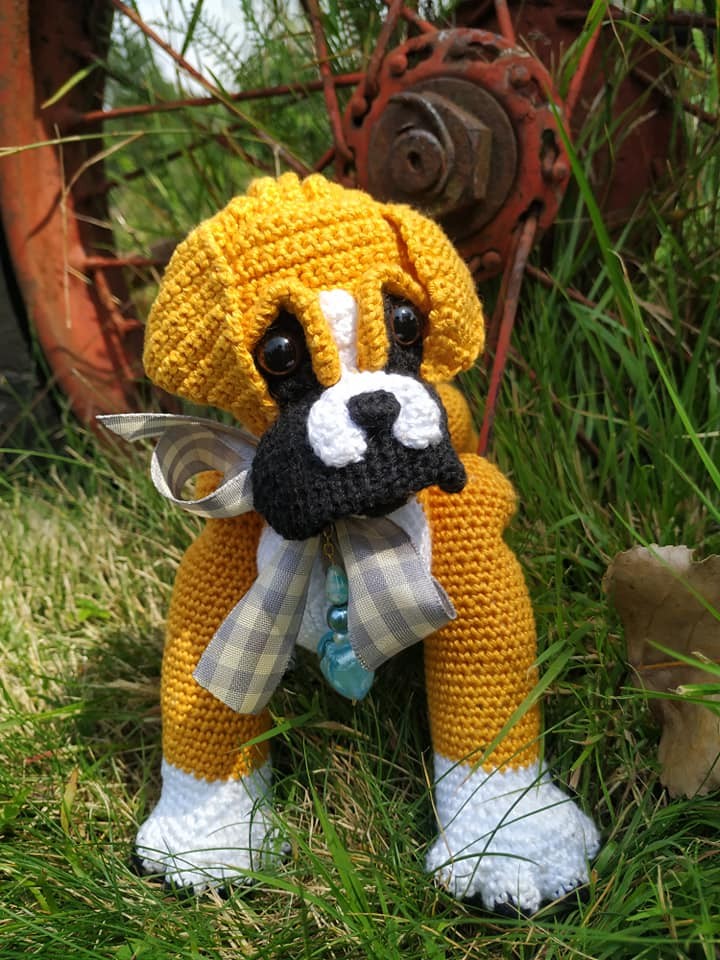 Baby Boxer