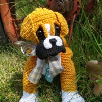 Baby Boxer