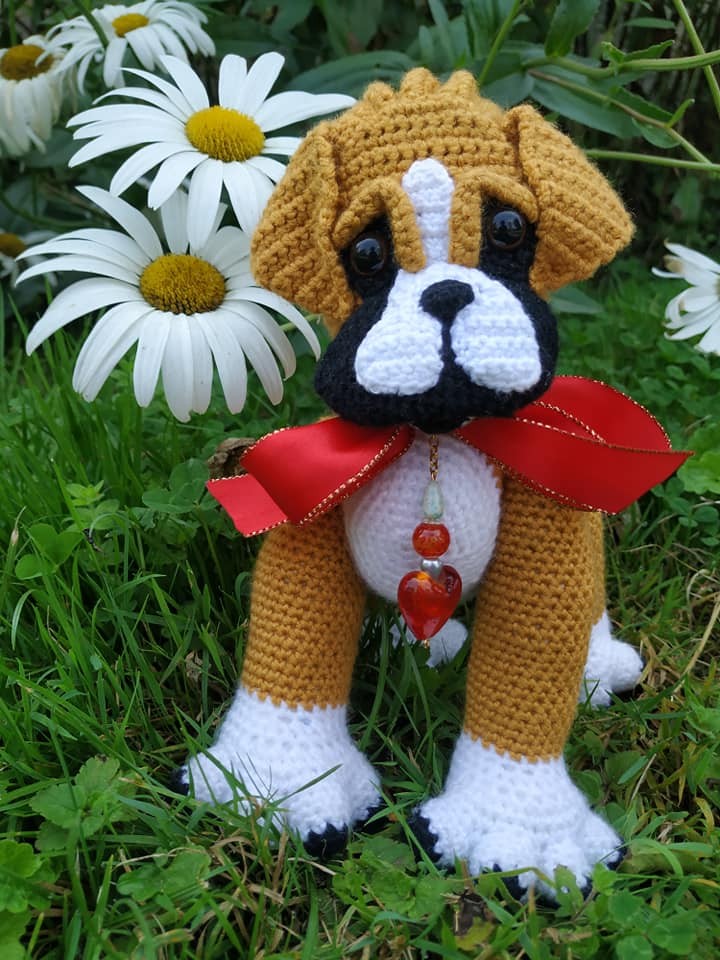 Baby Boxer