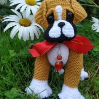 Baby Boxer
