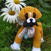 Baby Boxer