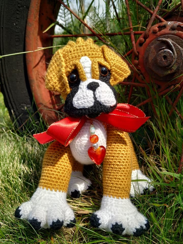 Baby Boxer