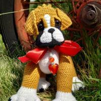 Baby Boxer
