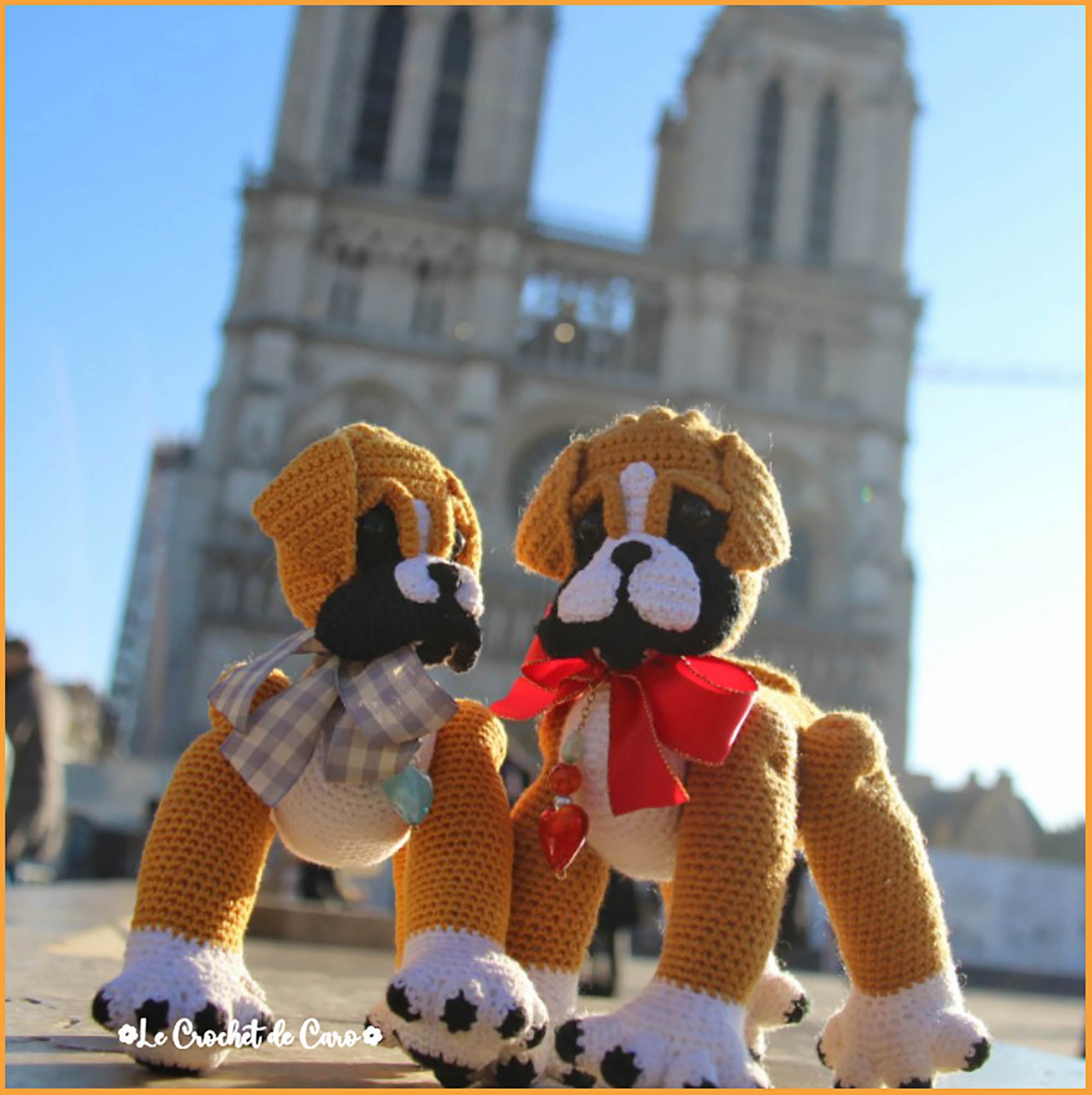Baby boxer paris 3