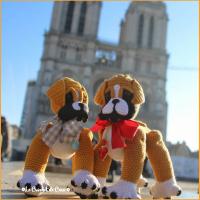 Baby boxer paris 3