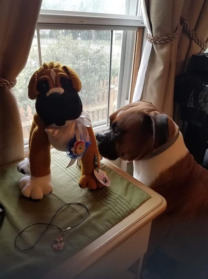 Chance & Chance