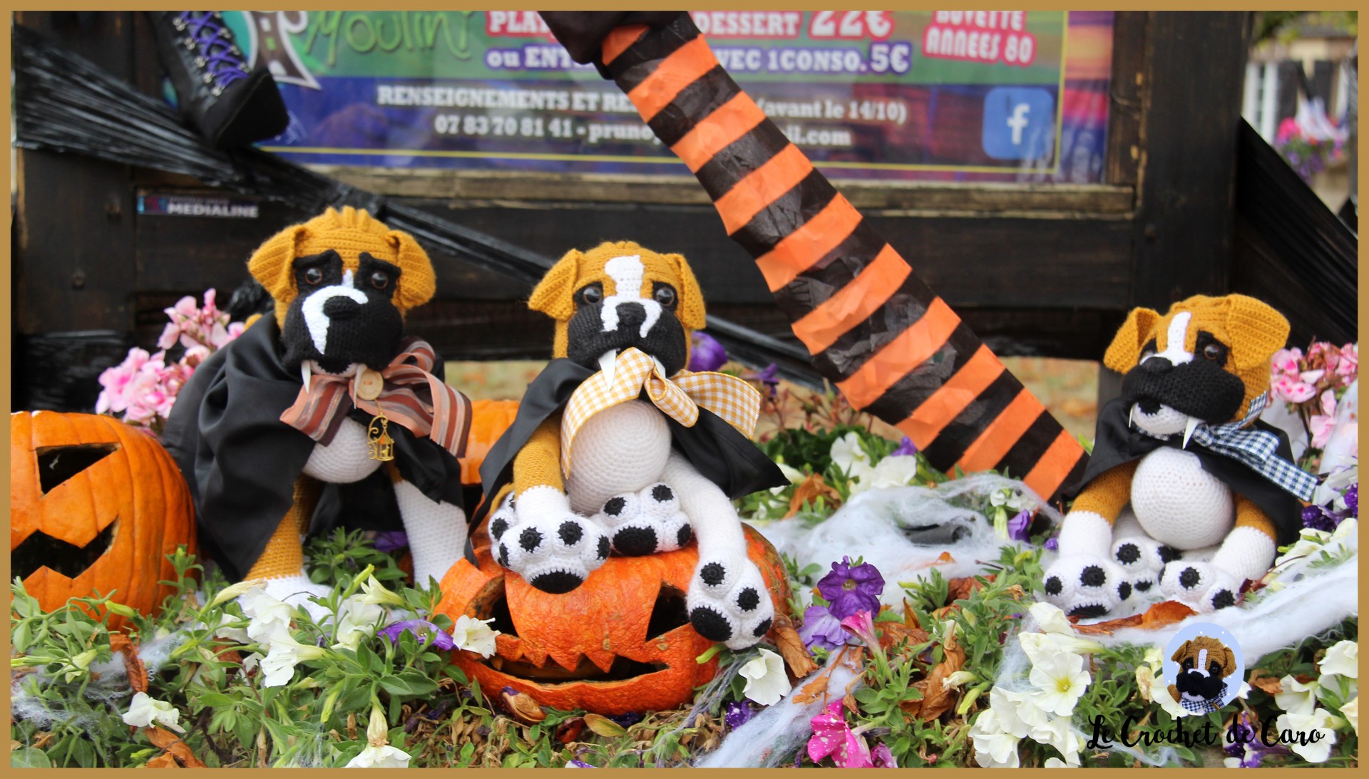 Halloween !