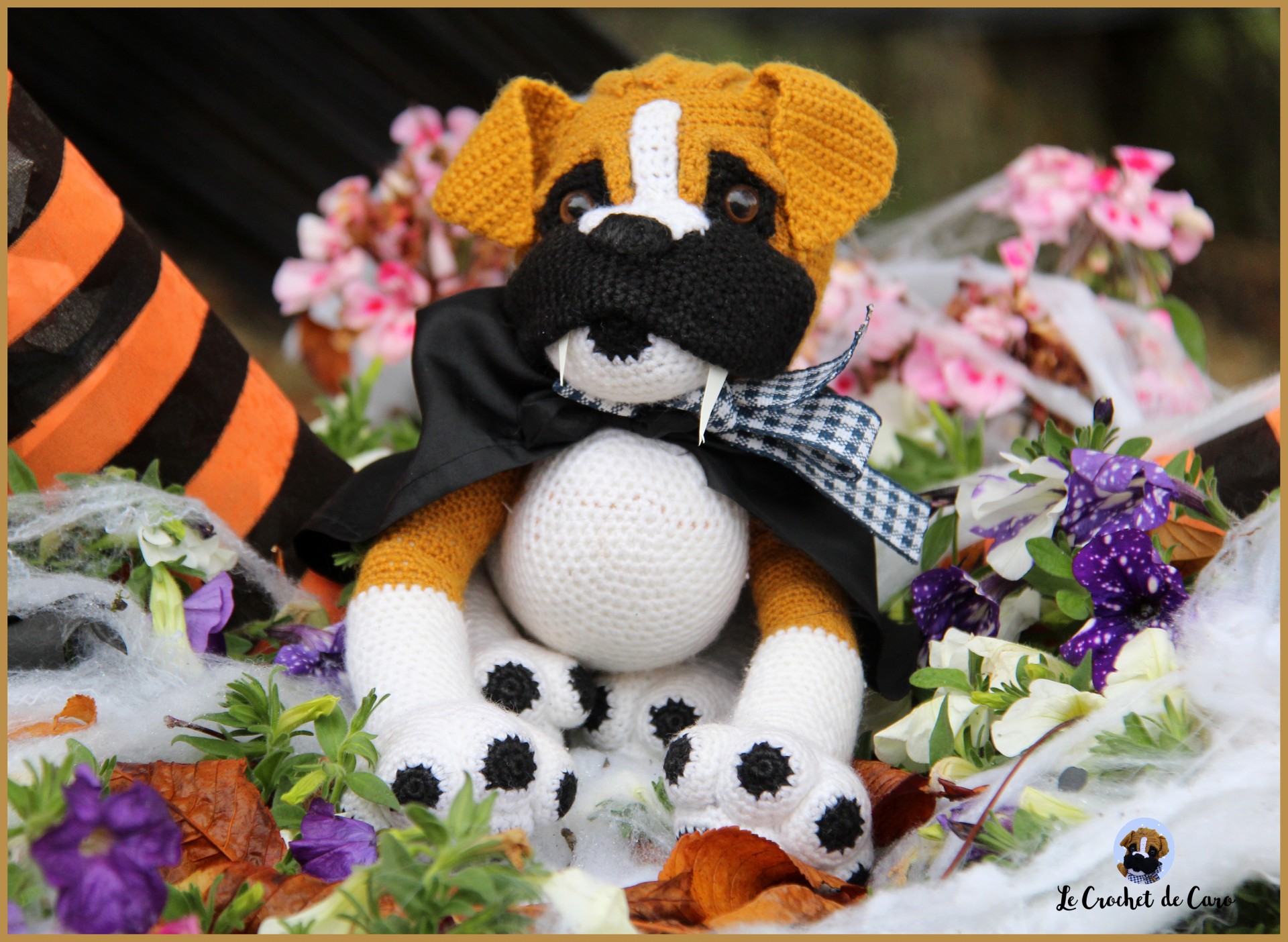 Halloween !