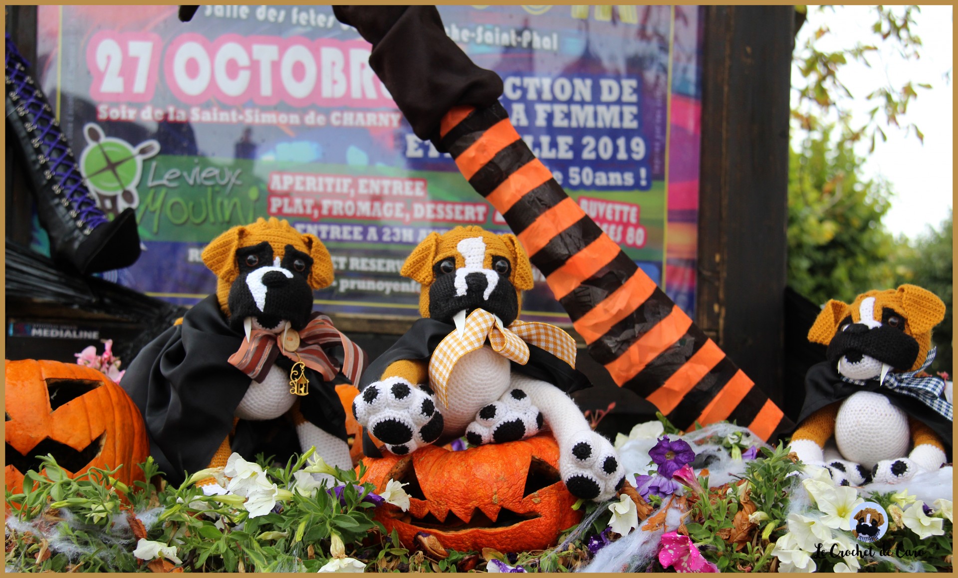 Halloween !