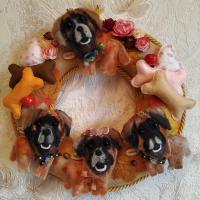Couronne 15