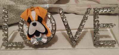 Plaque de verre Boxer