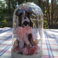Cloche Boxer Led