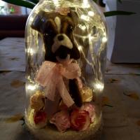 Cloche Boxer Led