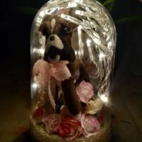 Cloche Boxer Led