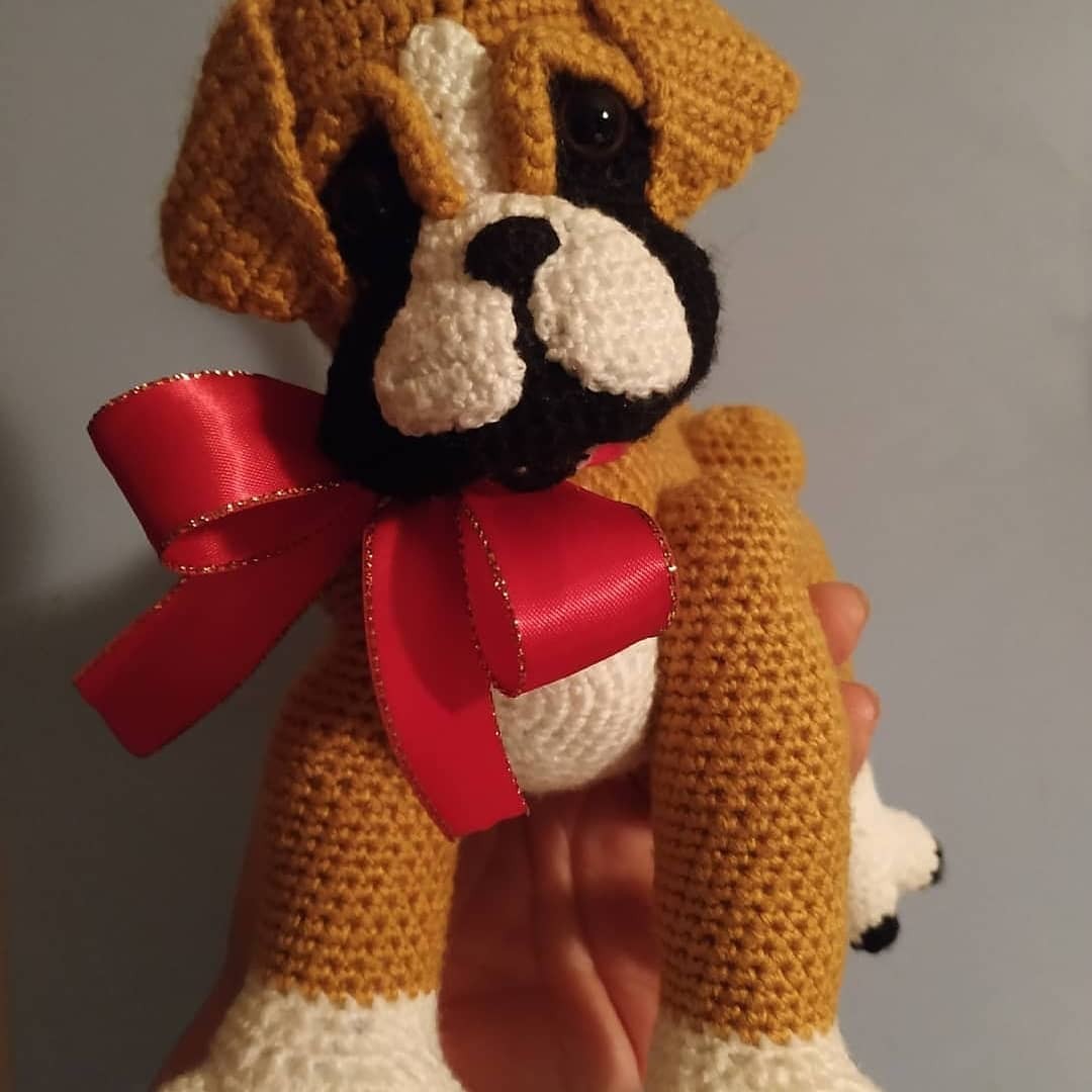 Baby Boxer