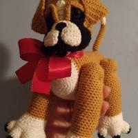 Baby Boxer