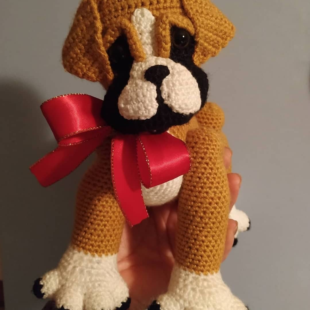 Baby Boxer