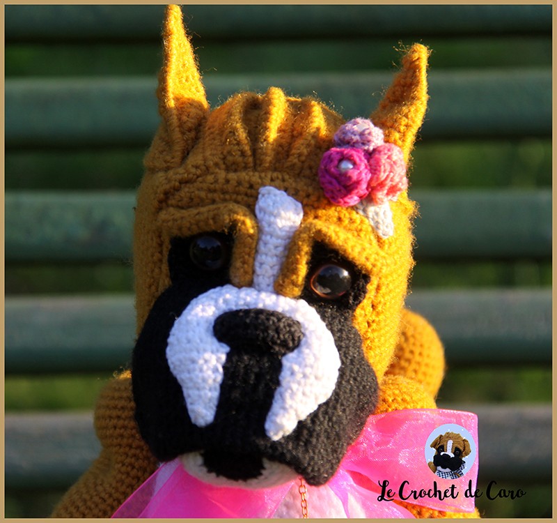 Topi