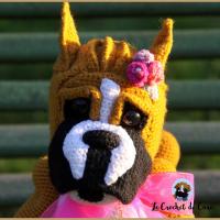 Topi