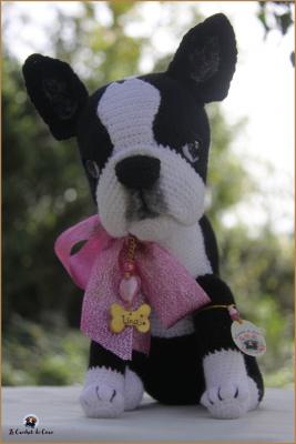 Boston Terrier