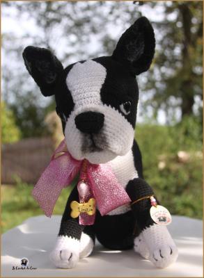 Boston Terrier
