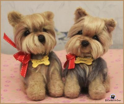 Yorkshire terrier